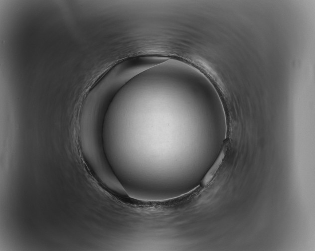 X0000089430385200706151313