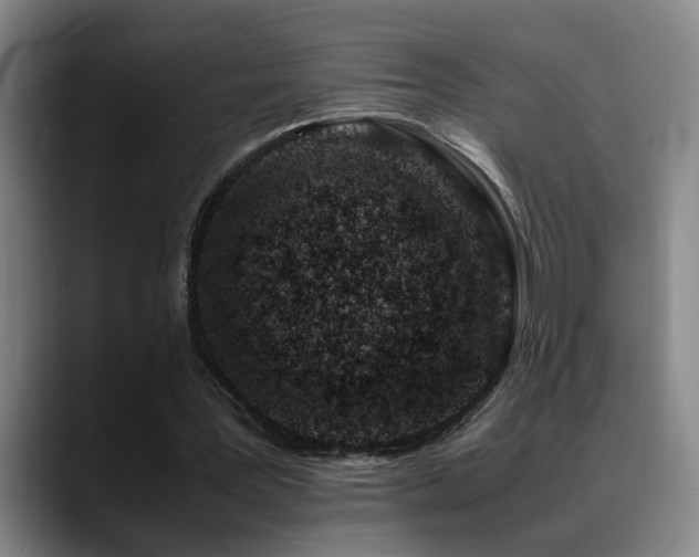 X0000089430387200706151312