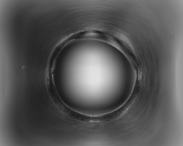 X0000089430388200706151312