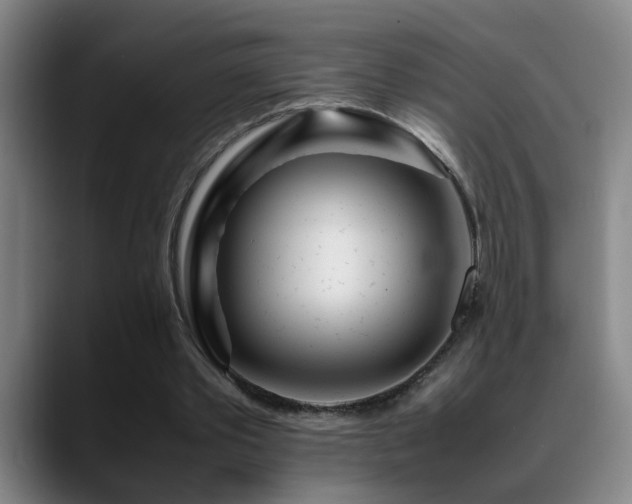 X0000089430389200706151312