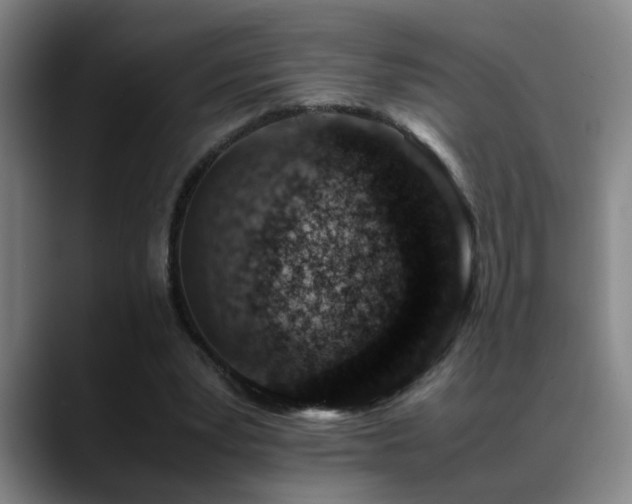 X0000089430391200706151312