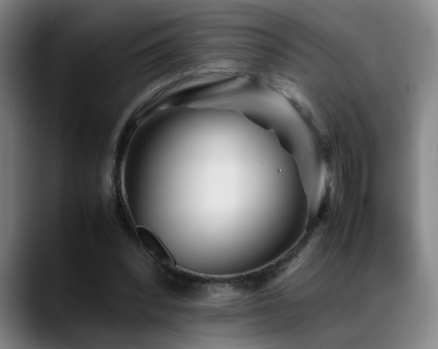 X0000089430392200706151312