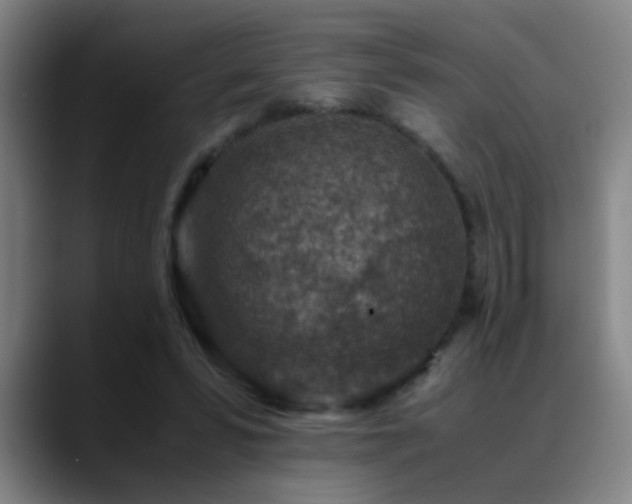 X0000089430399200706151312