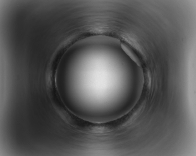 X0000089430400200706151312
