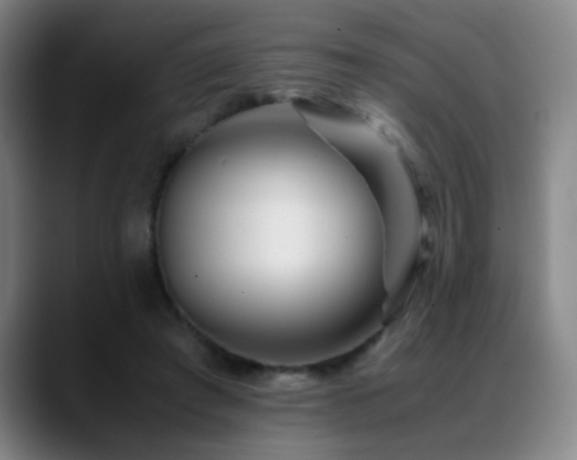 X0000089430401200706151312