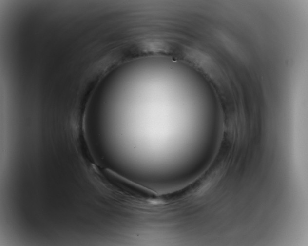 X0000089430402200706151312