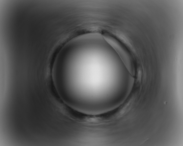 X0000089430407200706151312