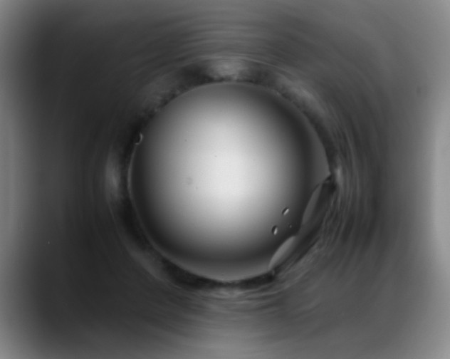 X0000089430408200706151312