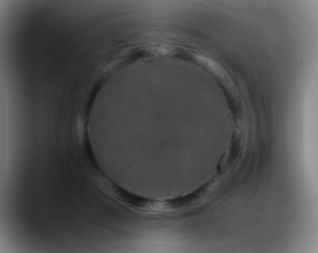 X0000089430409200706151312