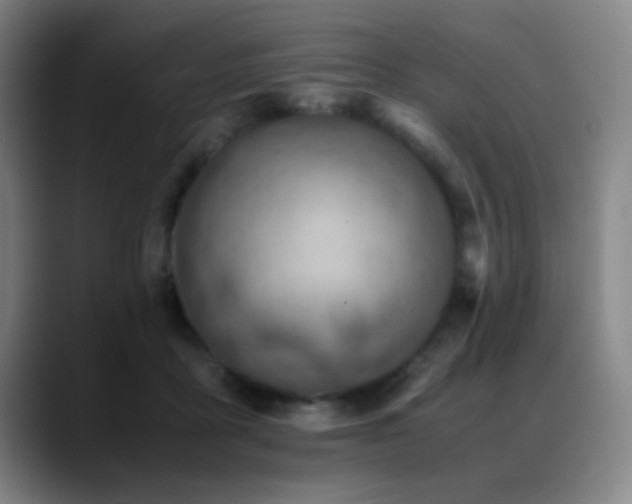 X0000089430411200706151312