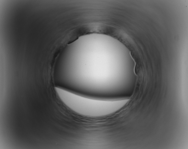 X0000089430413200706151312