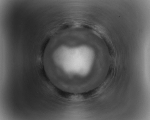 X0000089430415200706151312