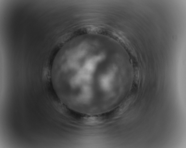 X0000089430419200706151312