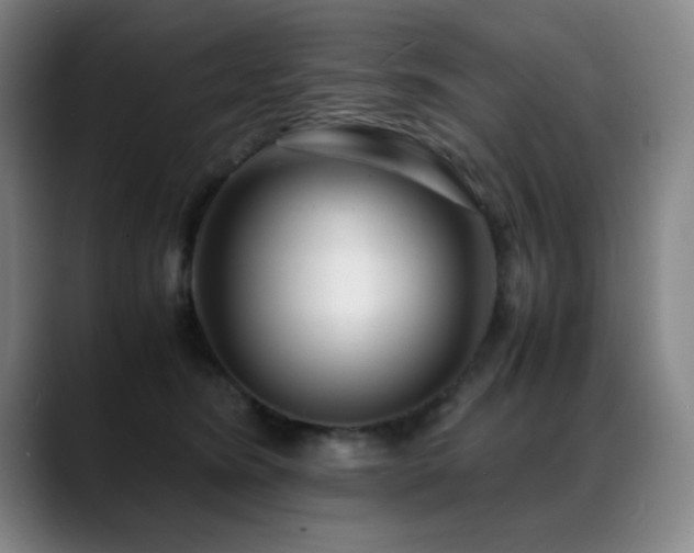 X0000089430420200706151312