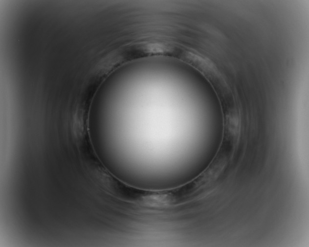 X0000089430422200706151312