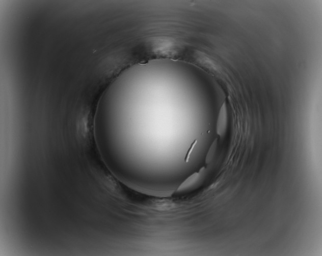 X0000089430424200706151312