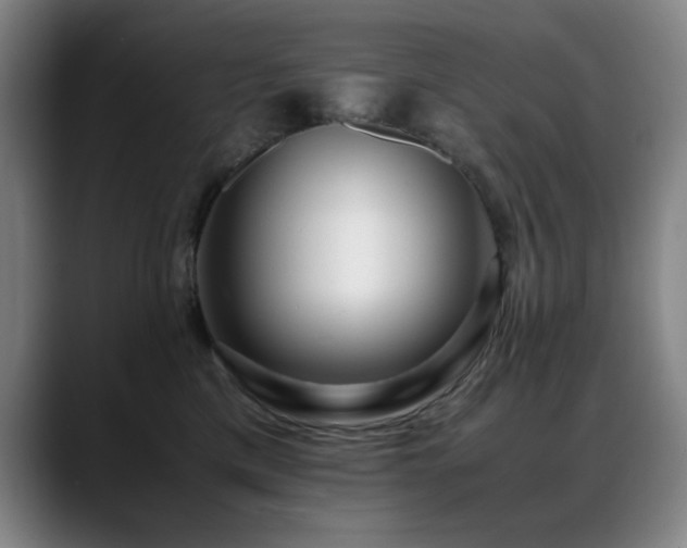 X0000089430425200706151312
