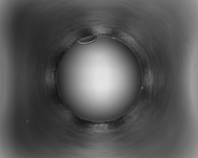 X0000089430426200706151312
