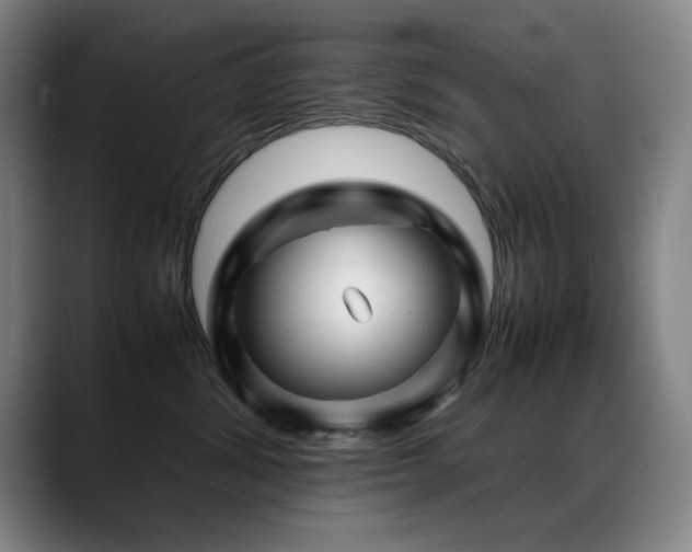 X0000089430428200706151312