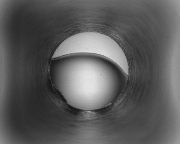X0000089430429200706151312