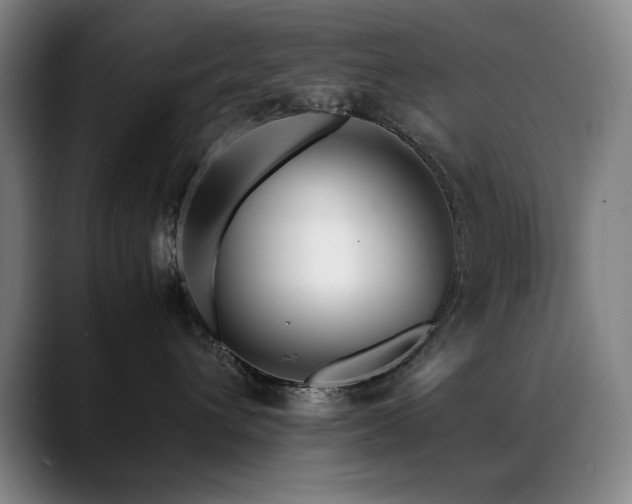 X0000089430432200706151312