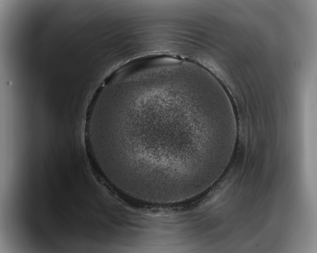 X0000089430434200706151311