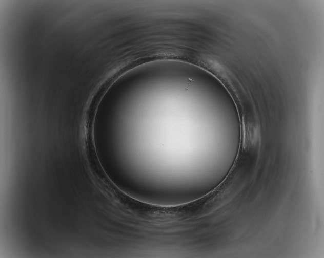 X0000089430435200706151311