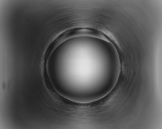 X0000089430436200706151311