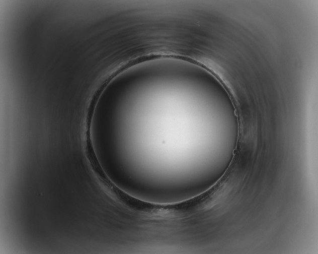 X0000089430437200706151311