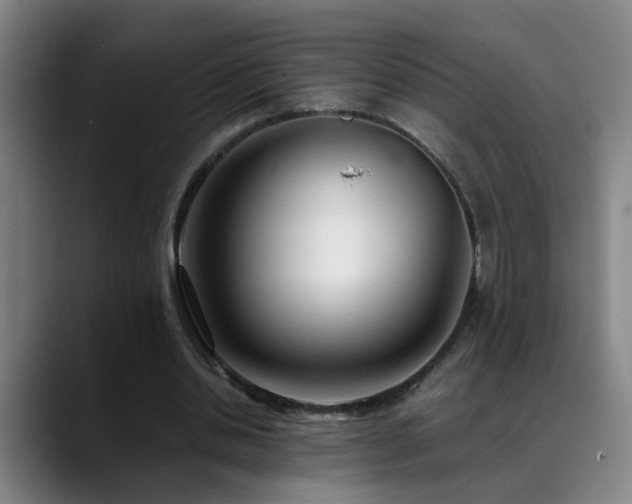 X0000089430438200706151311