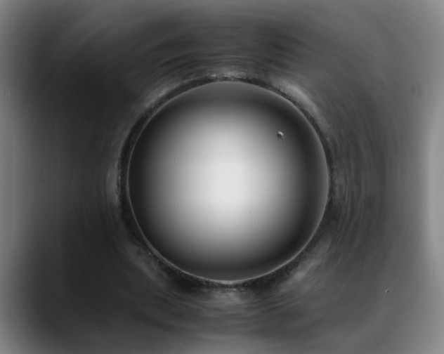X0000089430439200706151311