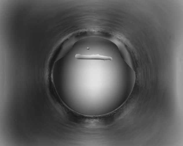 X0000089430440200706151312