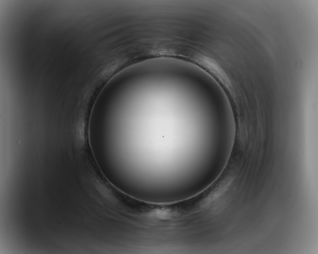 X0000089430441200706151312