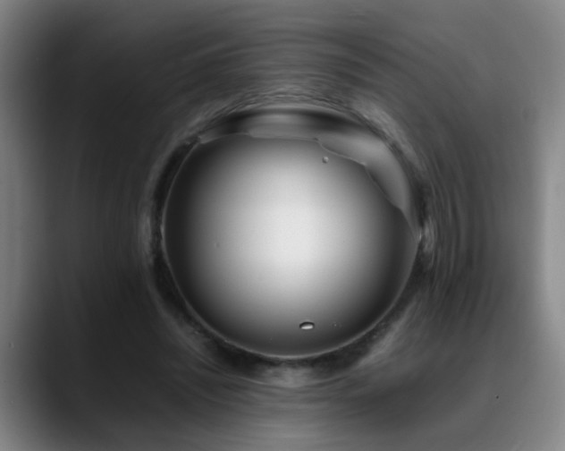 X0000089430444200706151312
