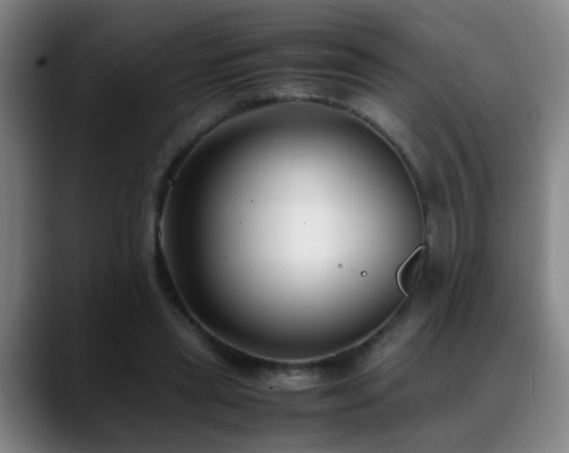 X0000089430445200706151312