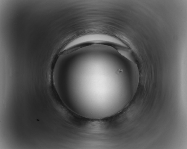 X0000089430446200706151312