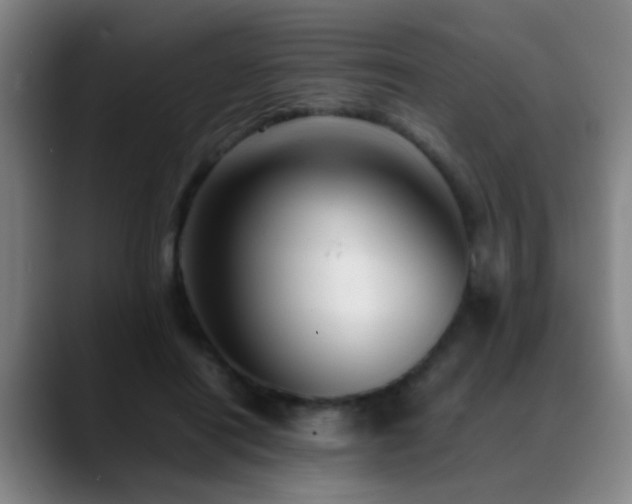 X0000089430454200706151312