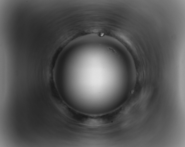 X0000089430455200706151312