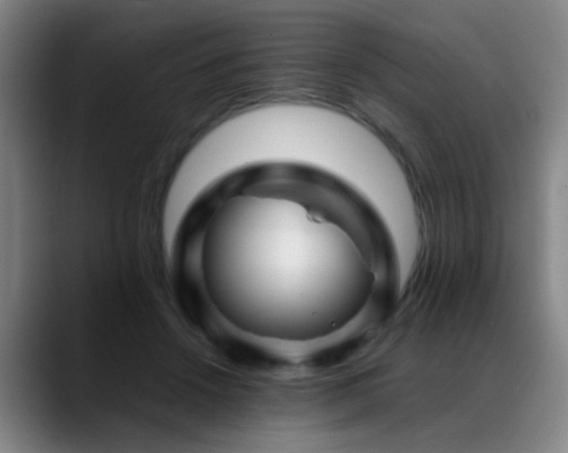 X0000089430456200706151312