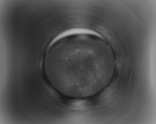 X0000089430458200706151312