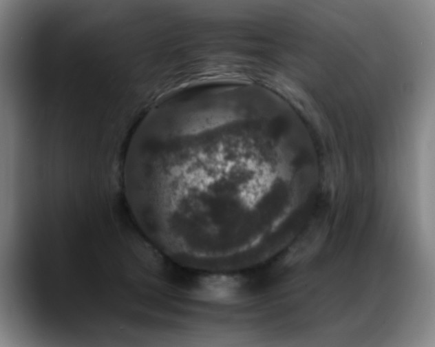 X0000089430465200706151312