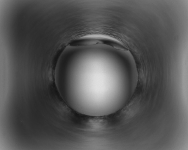 X0000089430470200706151312
