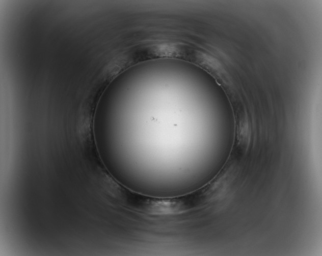 X0000089430473200706151312