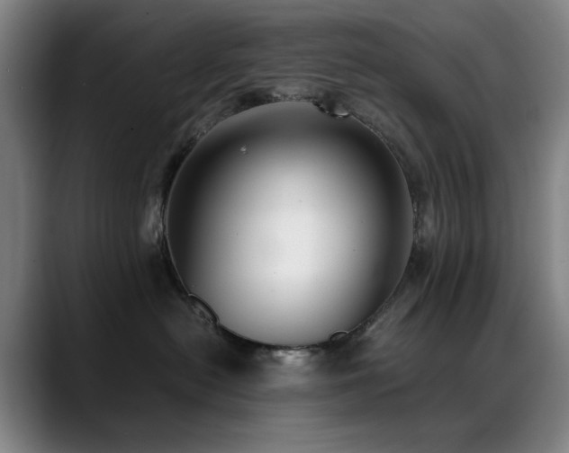 X0000089430478200706151312