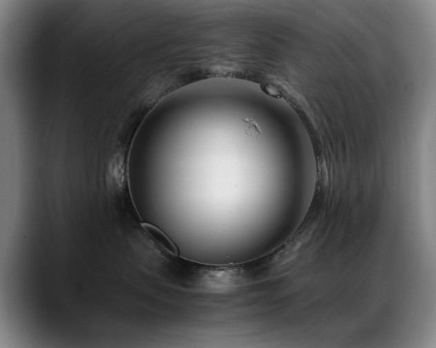 X0000089430479200706151312