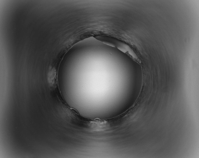 X0000089430480200706151312