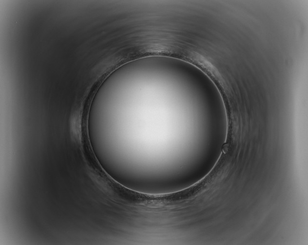 X0000089430482200706151311