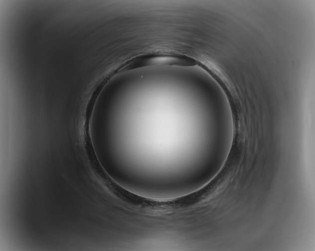 X0000089430485200706151311