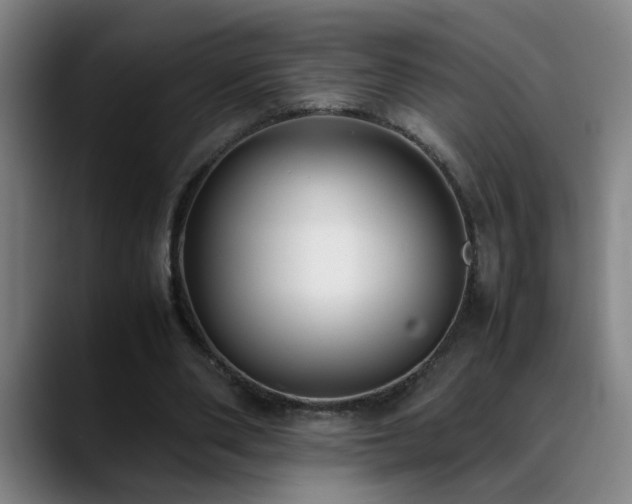 X0000089430486200706151311