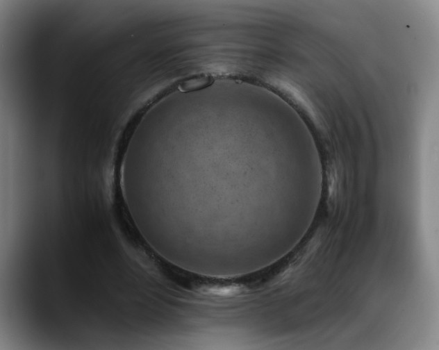 X0000089430488200706151311